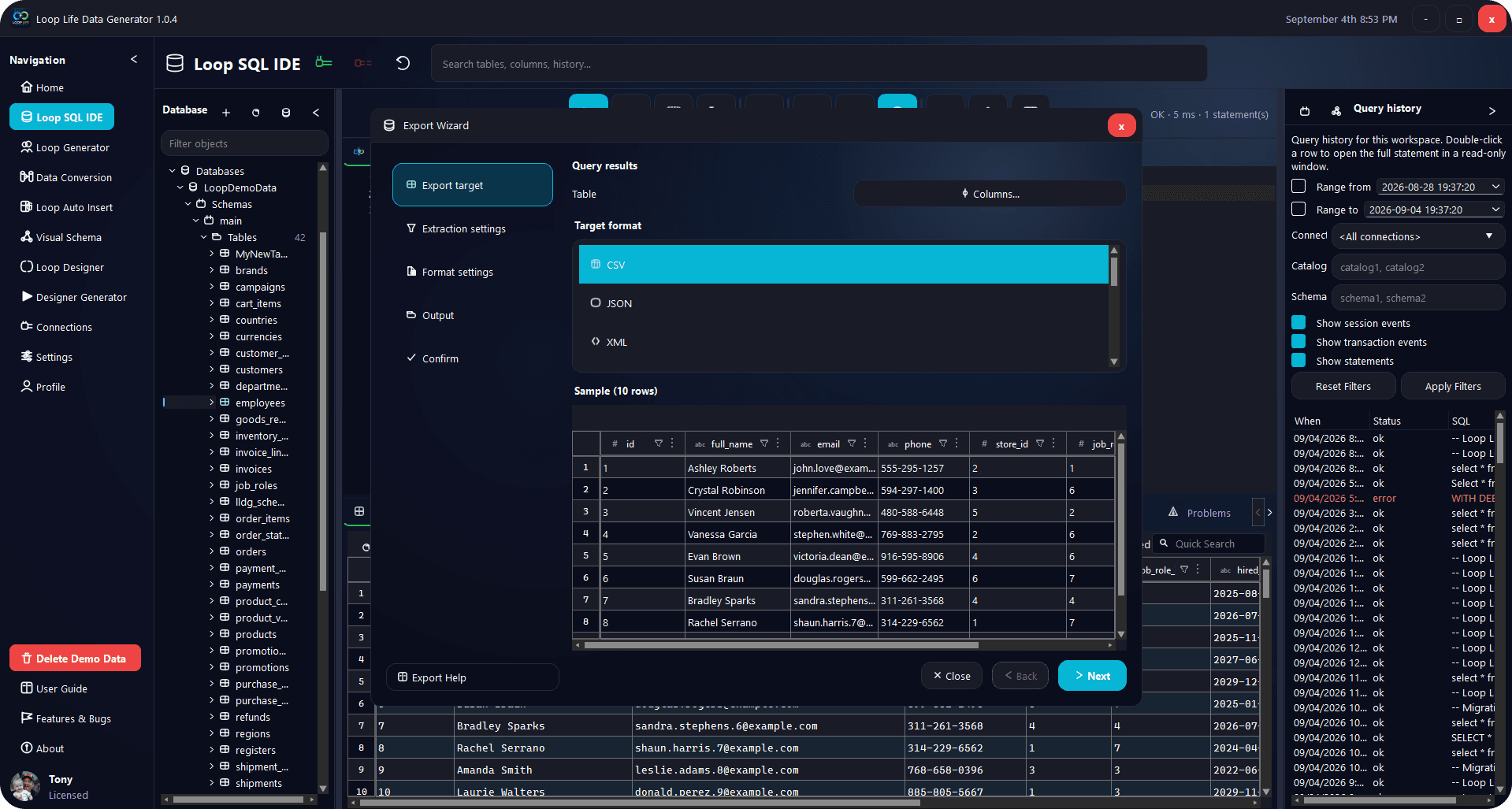 Export Wizard choosing CSV with a 10-row sample of the employees table