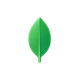 MongoDB